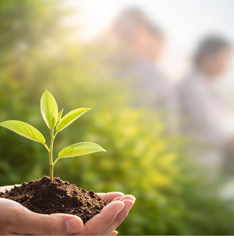 환경정책서 관련 이미지